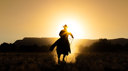 Picture for category Rodeo & Cowboy Culture
