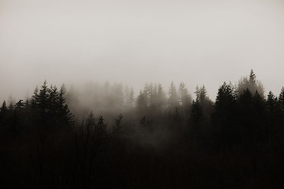 60 x 40 Misty Forest (IBG)