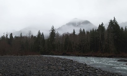 40 x 24 The Pines and the Mountain (IBG)