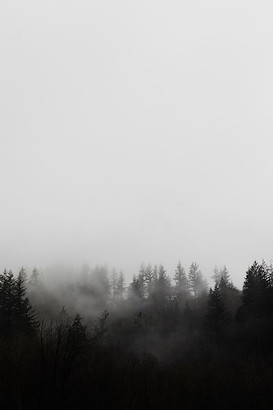 30 x 45 Mist (IBG)