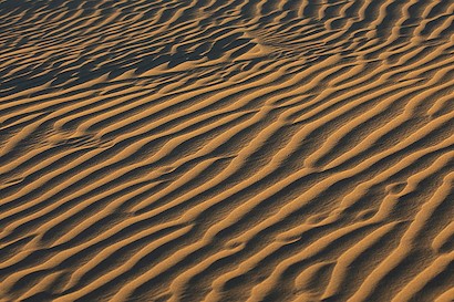 36 x 24 Windswept Dunes II (IBG)