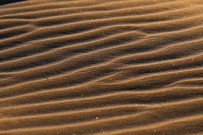 36 x 24 Windswept Dunes III (IBG)