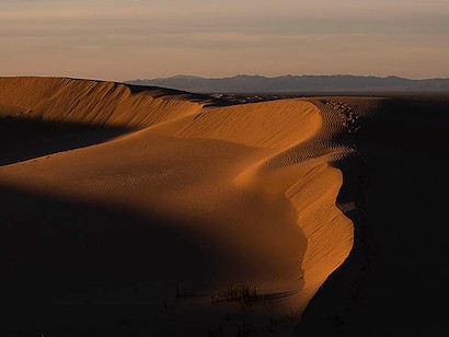 40 x 30 Windswept Dunes II (IBG)