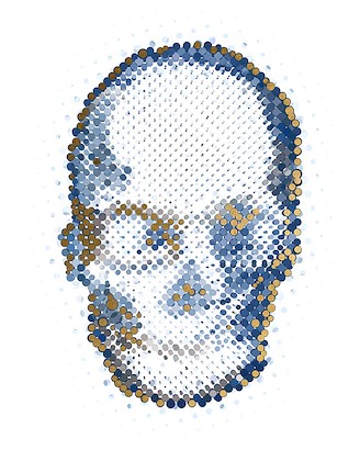 24 x 30 Dotted Skull (GG)
