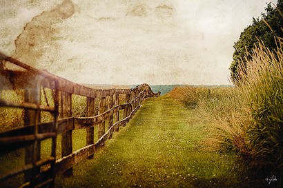 60 x 40 Fence Line (IBG)