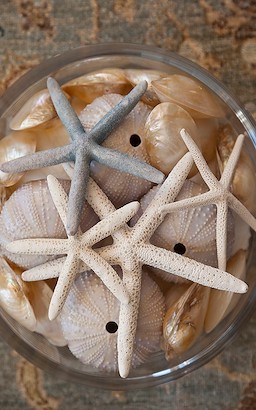 30 x 48 Layered starfish (MT)
