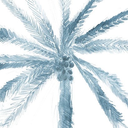 30 x 30 Palm Palms II (IBG)