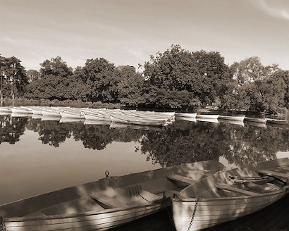50 x 40 Calm Afternoon in Paris I (IBG)