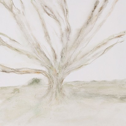 24 x 24 Dreaming Tree II (IBG)