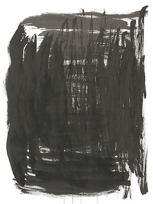 30 x 40 forêt noire (IBG)