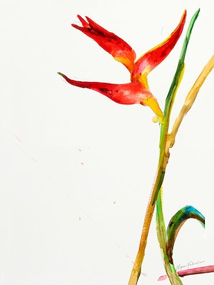 24 X 32 Bloom VI (IBG)