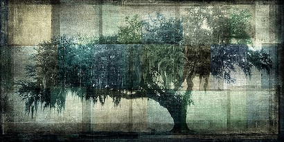 72 x 36 Tranquil Tree (IBG)