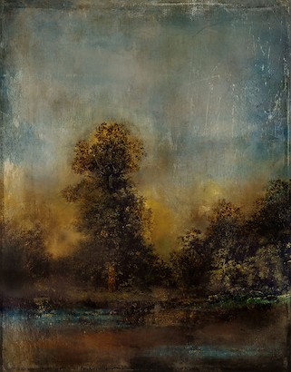 47 x 60 Summer Woods (IBG)