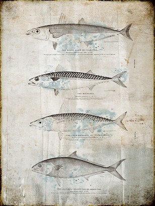 30 X 40 Fin I (IBG)