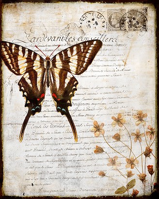 24 X 30 Appropriate Letters III (IBG)
