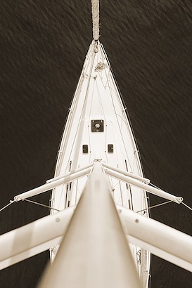 24 X 36 Top View II (IBG)