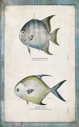 24 x 32 Fish Diversity II (IBG)