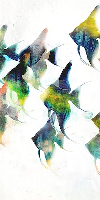 20 x 40 Tropical Feeling II (IBG)