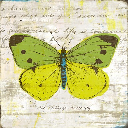 24 X 24 The Cabbage Butterfly (IBG)
