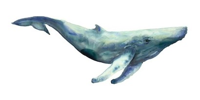 72 x 36 Ocean’s Creatures V (IBG)