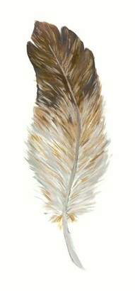 14 x 30 Colorful Feathers II (IBG)