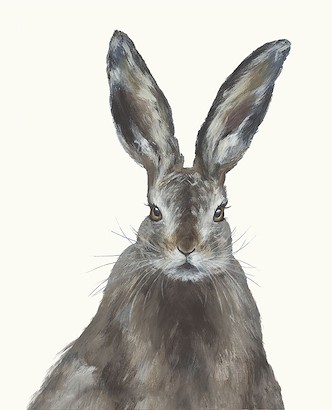 30 x 38 Woodland Rabbit (IBG)
