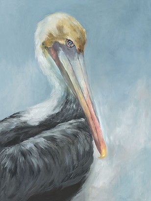30 x 40 Friendly Pelican I (IBG)