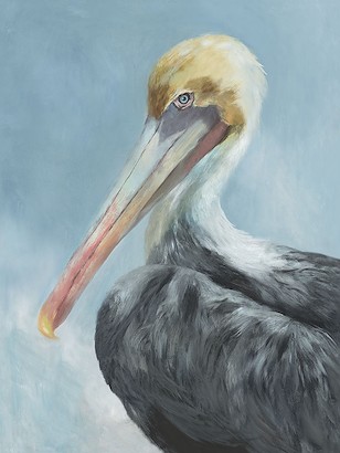 30 x 40 Friendly Pelican II (IBG)