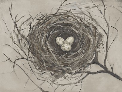 40 x 30 Bird’s Nest (IBG)