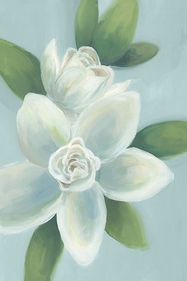 24 x 36 White Magnolias II (IBG)
