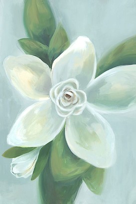 24 x 36 White Magnolias III (IBG)