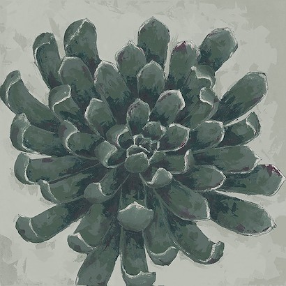 24 x 24 For the Garden IV (IBG)