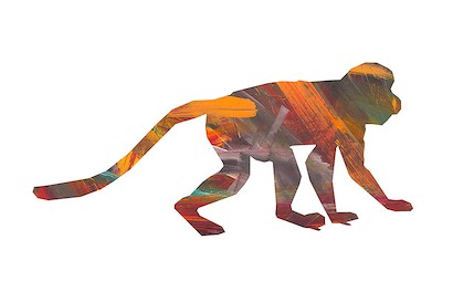 24 x 16 Wild or Tamed VI (IBG)