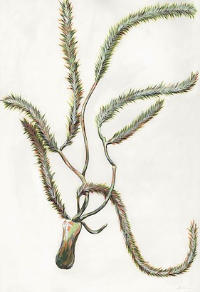 24 x 35 Springtime Gardening IV (IBG)