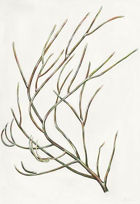 24 x 35 Springtime Gardening V (IBG)