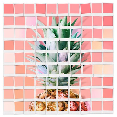 40 x 40 Polaroid Collage Pineapple   (IBG)