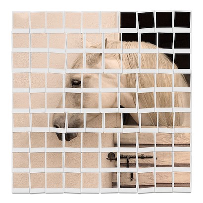 40 x 40 Stable (IBG)