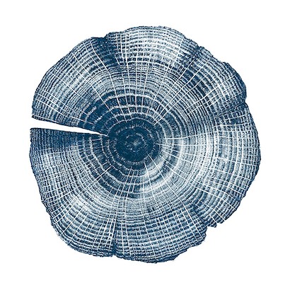 24 x 24 Nature's Impression IV (IBG)