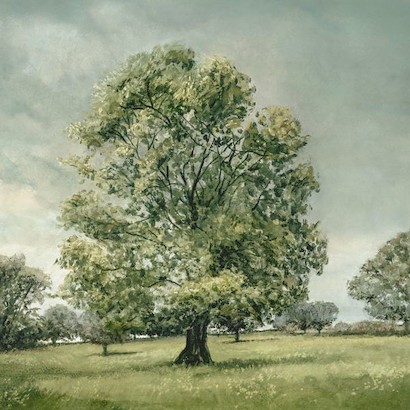 47 x 47 New Love Grows on Trees (KG)