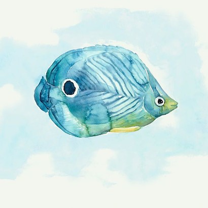 24 x 24 Foureye Butterflyfish (KG)