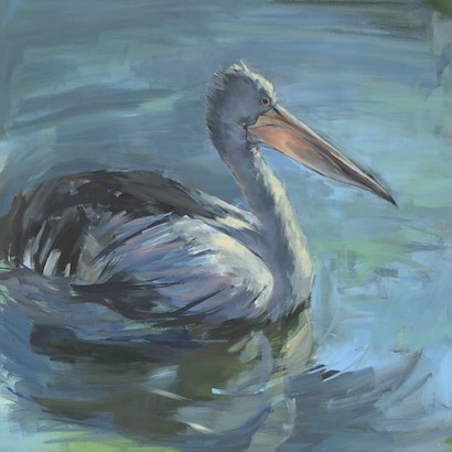 30 x 30 Drifting Pelican (IBG)