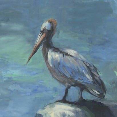 30 x 30 Meditating Pelican (IBG)