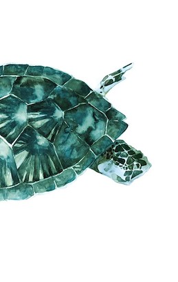 30 x 46 Blue-Green II (IBG)