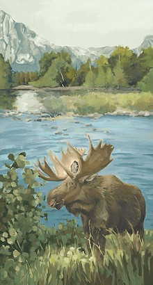 30 x 56 Moose Home (IBG)