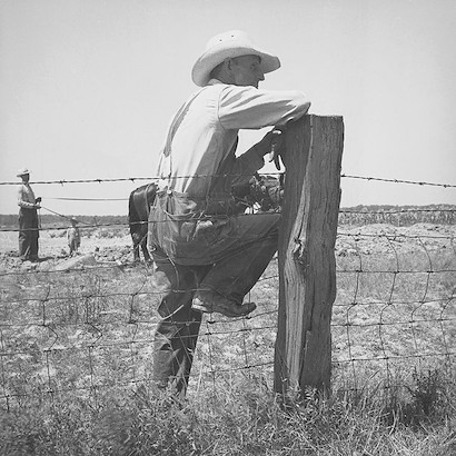 40 x 40 The Land is Mine (IBG)