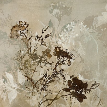 36 X 36 Graphic Beauty II (IBG)