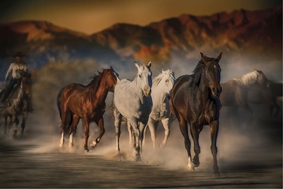 45 x 30 Mustangs on the Move (IBG)
