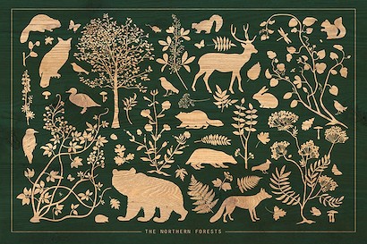 45 x 30 The Northern Forests (IBG)