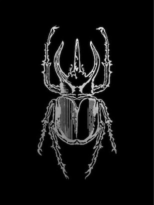 24 x 32 Historia Insectorum Generalis II (GS)