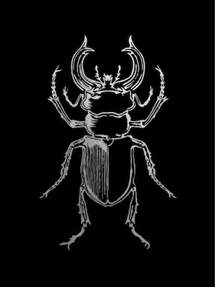 24 x 32 Historia Insectorum Generalis III (GS)
